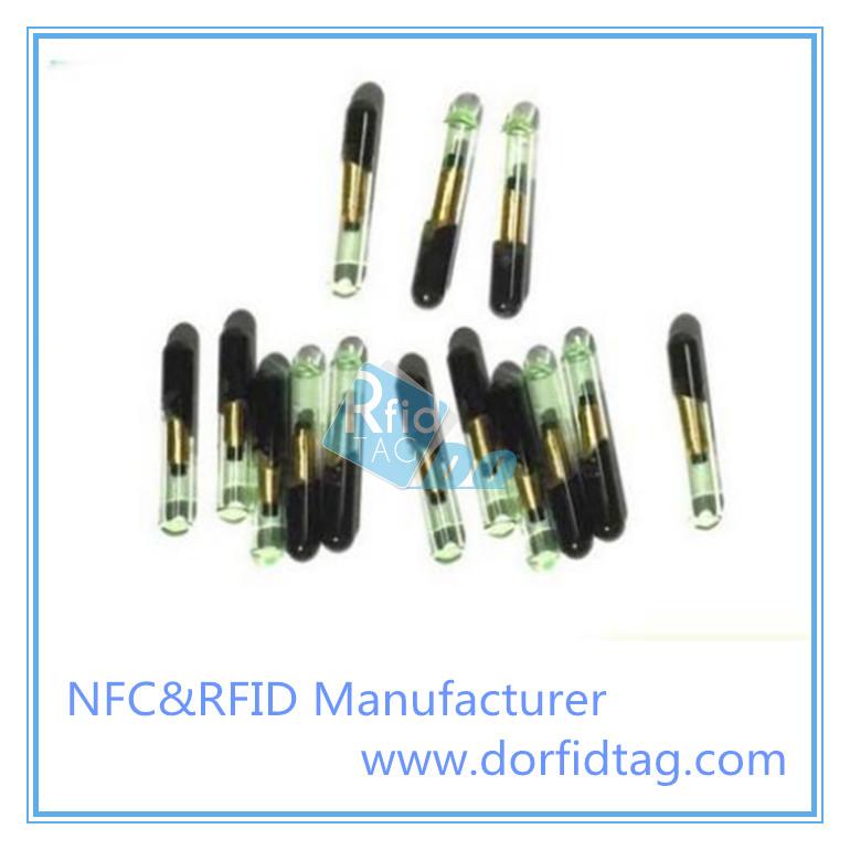 RFID Glass tag for animal managment